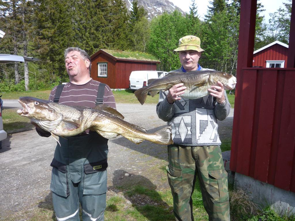 Feriehus Tosbotn & *